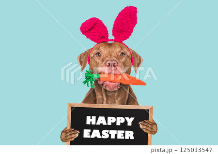 Happy Easter. Cute dog and congratulatory inscription 125013547