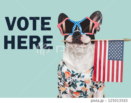 VOTE HERE. US Elections. 2024 Presidential Election VOTE HERE. US Elections. 2024 Presidential Election 125013583
