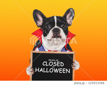 Signboard with the inscription We will be closed on Halloween Signboard with the inscription We will be closed on Halloween 125013588