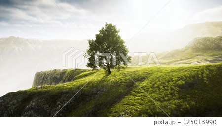 Lone tree on a hilltop under soft sunlight in a tranquil landscape setting 125013990