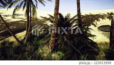 Tropical landscape with palm trees and sandy dune backdrop at twilight Tropical landscape with palm trees and sandy dune backdrop at twilight 125013999