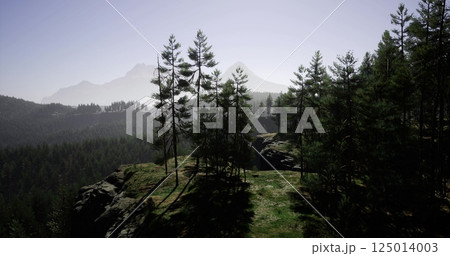 Serene mountain landscape bathed in soft morning sunlight with tall trees Serene mountain landscape bathed in soft morning sunlight with tall trees 125014003