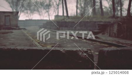 Misty landscape with stone pathways and bare trees in a quiet area 125014008