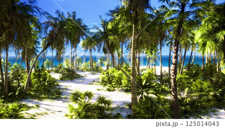 Beautiful tropical landscape with palm trees and clear blue ocean view Beautiful tropical landscape with palm trees and clear blue ocean view 125014043