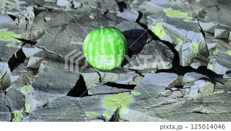 Colorful watermelon sitting on rocky surface in natural light Colorful watermelon sitting on rocky surface in natural light 125014046