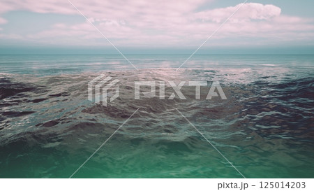 Serene Ocean Waters at Dawn Serene Ocean Waters at Dawn 125014203