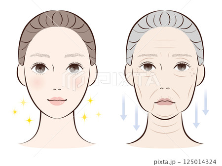 老化が進んだ顔と若々しい顔の比較|加齢による肌変化イラスト 老化が進んだ顔と若々しい顔の比較|加齢による肌変化イラスト 125014324