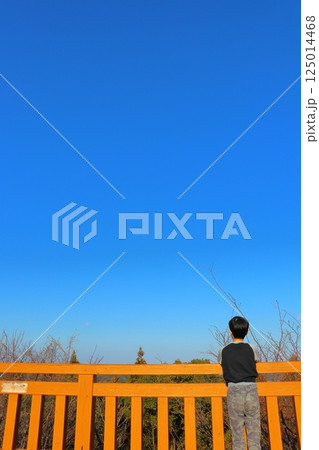 展望台から眺める男の子 125014468