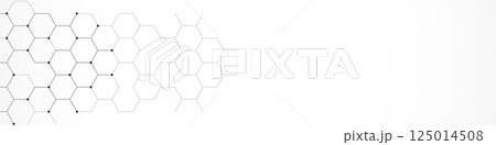 Panoramic view of abstract geometric background with hexagons shape pattern for banner or website header template 125014508