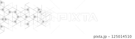 Abstract geometric background with triangle shape pattern 125014510