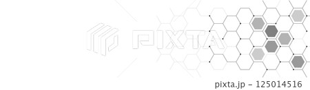 Panoramic view of abstract geometric background with hexagons shape pattern for banner or website header template 125014516