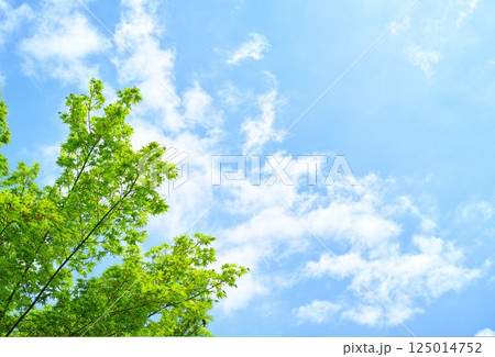 青空と雲イメージ 125014752