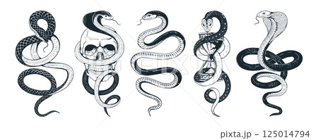 Black snake set. Viper skin tattoo, outline mamba reptile in rock style. Poison serpent shed for shirt, japan grunge print. Oriental style abstract animal. Vector isolated elements Black snake set. Viper skin tattoo, outline mamba reptile in rock style. Poison serpent shed for shirt, japan grunge print. Oriental style abstract animal. Vector isolated elements 125014794