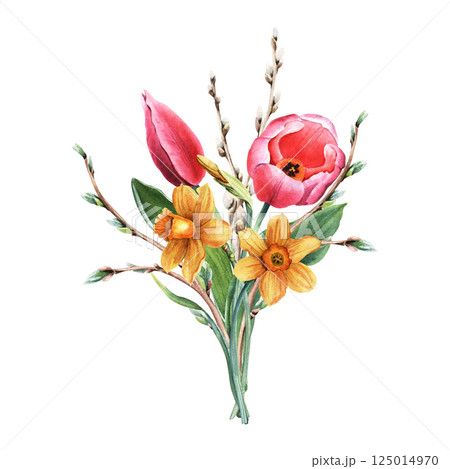 A spring flowers bouquet of pink tulips, yellow daffodils, narcissi and pussy willow branches. Hand drawn botanical watercolor illustration isolated on white background. For clip art cards invitation 125014970