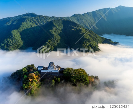 雲海に浮かぶ越前大野城　イラスト 125015424