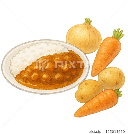 カレーライスと野菜の具材（にんじん・じゃがいも・玉ねぎ）の水彩風イラスト 125015650