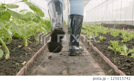 Close up of back muddy gumboots of farmer walking along at vegetables farm after heavy rain, Dirty farmer's rubber boots 125015742