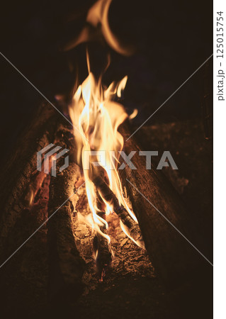 焚き火 125015754