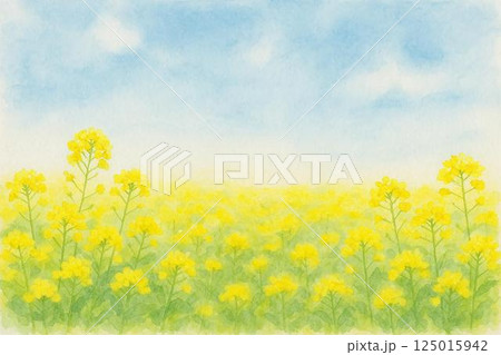 菜の花畑 125015942