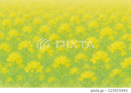 菜の花畑 125015943