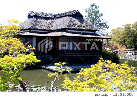 佐賀 春の神野公園の風景 (人気観光スポット・お花見スポット) 佐賀 春の神野公園の風景 (人気観光スポット・お花見スポット) 125016000
