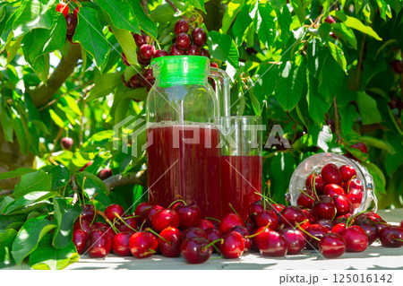 Freshly harvested ripe sweet cherries and juice in jug on table outdoors in shade of green foliage of fruit trees in summer orchard 125016142