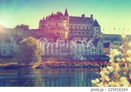 Royal Chateau in Amboise - castle in Loire valley Royal Chateau in Amboise - castle in Loire valley 125016164
