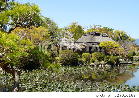 佐賀 春の神野公園の風景 (人気観光スポット・お花見スポット) 佐賀 春の神野公園の風景 (人気観光スポット・お花見スポット) 125016168