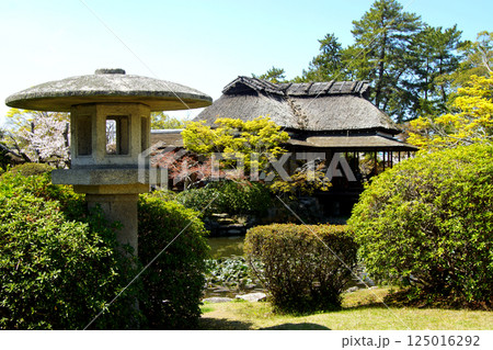 佐賀　春の神野公園の風景　（人気観光スポット・お花見スポット） 125016292