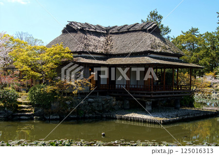 佐賀　春の神野公園の風景　（人気観光スポット・お花見スポット） 125016313
