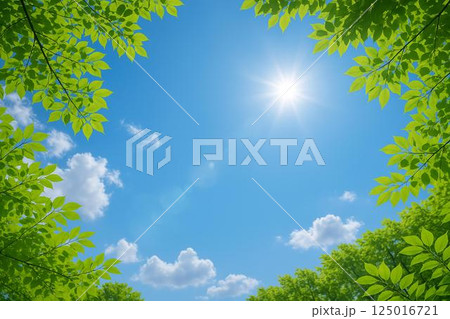 晴天　青空　若葉　イメージ 125016721