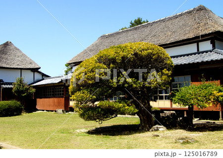 佐賀　春の神野公園の風景　（人気観光スポット・お花見スポット） 125016789