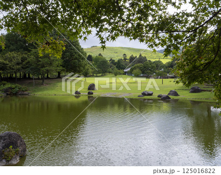 奈良公園の三社託宣池から見る春日野園地の風景 奈良公園の三社託宣池から見る春日野園地の風景 125016822