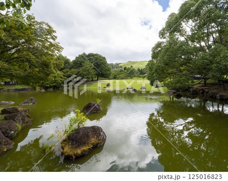 奈良公園の三社託宣池から見る春日野園地の風景 125016823