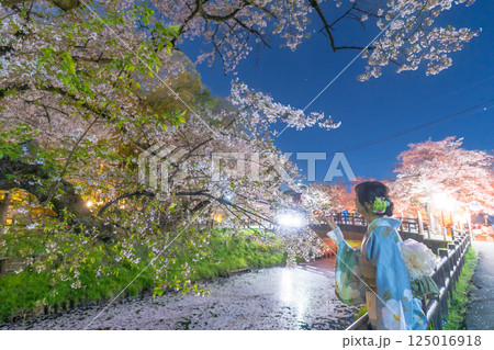 花筏が浮かぶ川越新河岸川の桜ライトアップとミドルの着物の女性 花筏が浮かぶ川越新河岸川の桜ライトアップとミドルの着物の女性 125016918