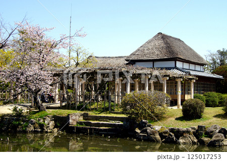 佐賀 春の神野公園の風景 (人気観光スポット・お花見スポット) 佐賀 春の神野公園の風景 (人気観光スポット・お花見スポット) 125017253