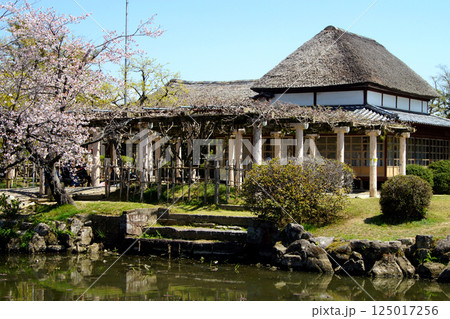 佐賀　春の神野公園の風景　（人気観光スポット・お花見スポット） 125017256