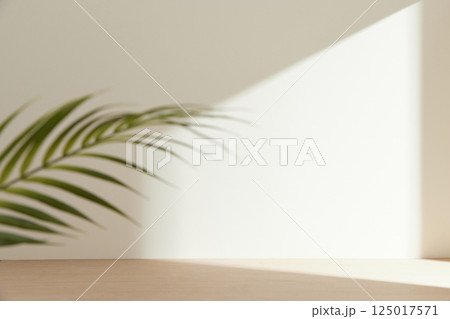 Morning Light and Natural Shadows in a Minimal Living Space. Morning Light and Natural Shadows in a Minimal Living Space. 125017571