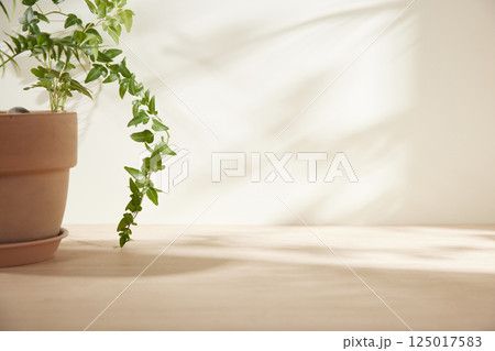 Morning Light and Natural Shadows in a Minimal Living Space. 125017583