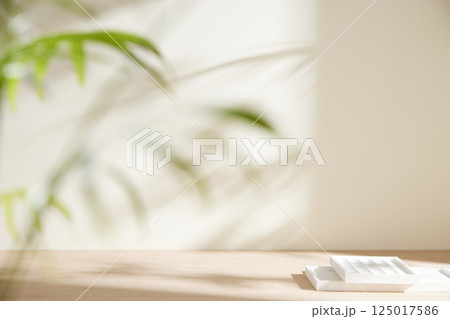 Morning Light and Natural Shadows in a Minimal Living Space. 125017586