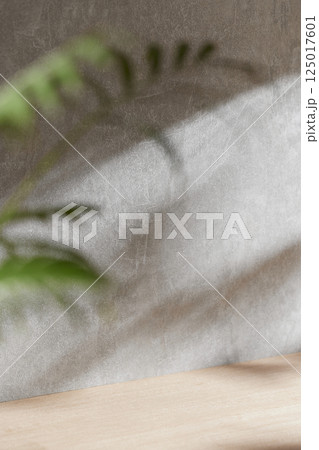 Morning Light and Natural Shadows in a Minimal Living Space. 125017601