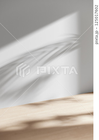 Morning Light and Natural Shadows in a Minimal Living Space. 125017602