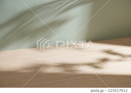 Morning Light and Natural Shadows in a Minimal Living Space. 125017612