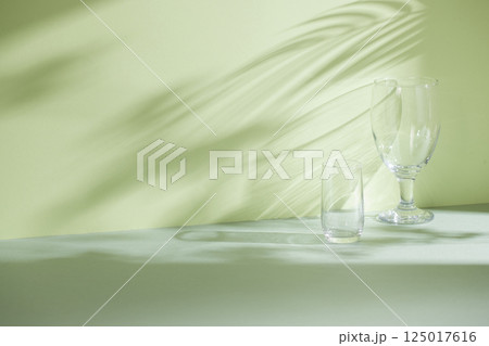 Morning Light and Natural Shadows in a Minimal Living Space. 125017616