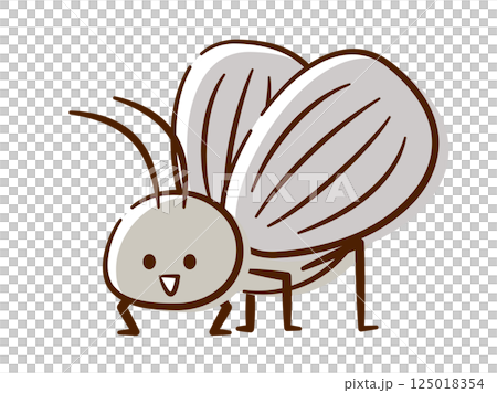 Insect_handwritten_bell cricket 125018354