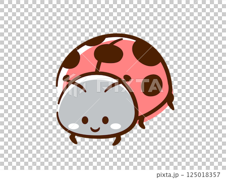 Insect_handwritten_ladybug 125018357