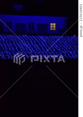 ライトアップされた夜のイルミネーション 125018403