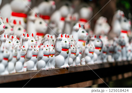 【東京都】たくさんの招き猫が圧巻の豪徳寺 125018424