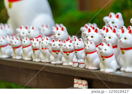 【東京都】たくさんの招き猫が圧巻の豪徳寺 【東京都】たくさんの招き猫が圧巻の豪徳寺 125018427