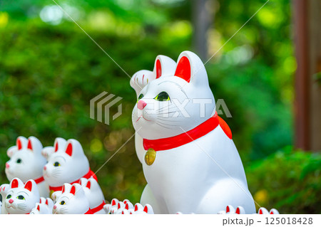 【東京都】たくさんの招き猫が圧巻の豪徳寺 125018428